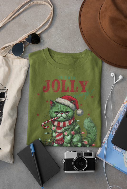 Is this Jolly enough cat